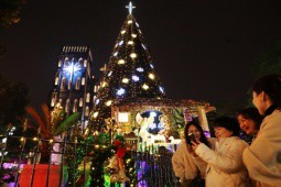 Cây thông khổng lồ lung linh cạnh nhà thờ nổi tiếng ở Hà Nội