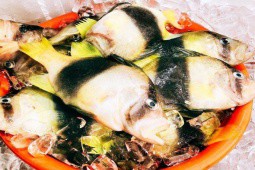 Loài cá lạ ở Việt Nam, thịt dai ngọt như thịt gà, chỉ có duy nhất ở nơi này