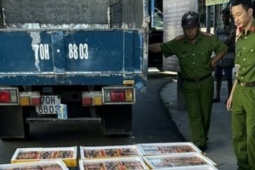 Thị trường - Tiêu dùng - Núp bóng xe chở trái cây "ém" hơn 6,3 tạ pháo lậu