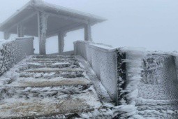 Vì sao rét hại đến -2,2 độ C đỉnh Mẫu Sơn vẫn không xuất hiện băng giá hay sương muối?