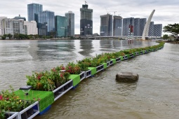 Tin tức trong ngày - Ảnh: Từ vùng sình lầy, đầy cỏ dại, bờ sông Sài Gòn hóa thành công viên với view cực đẹp