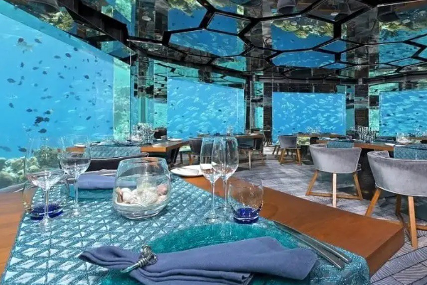 5 nhà hàng đẹp huyền ảo dưới lòng đại dương ở Maldives