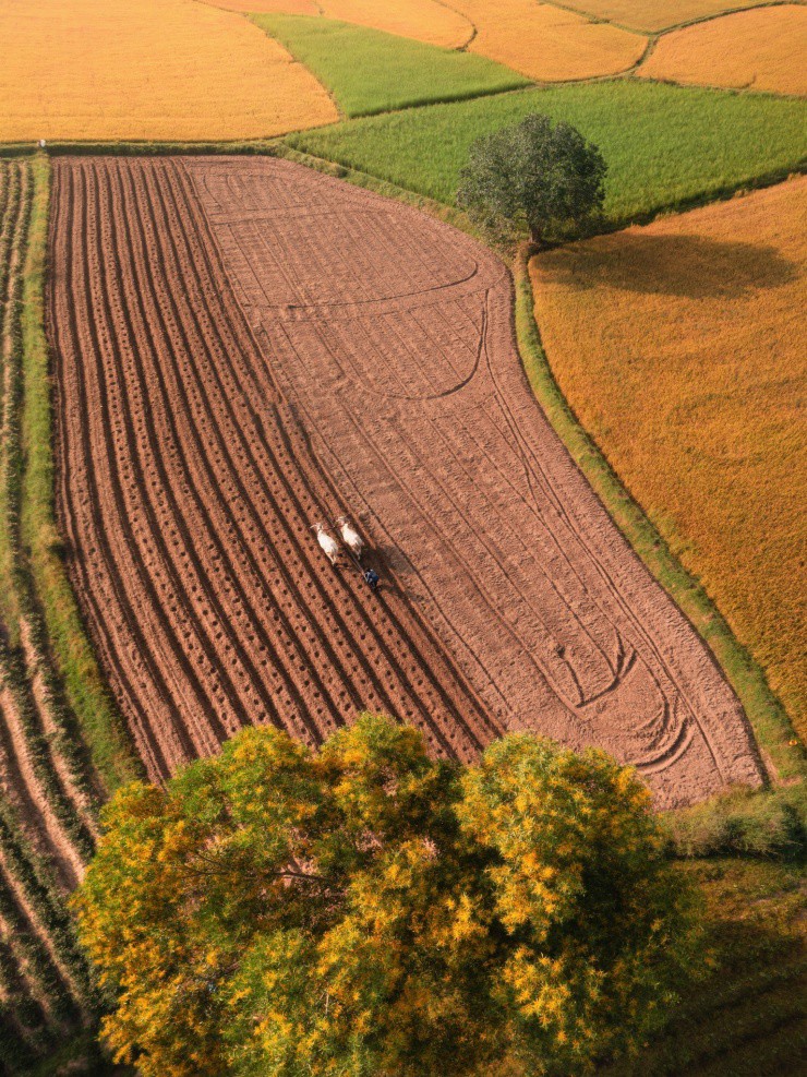 Sắc màu Tà Pạ - 7