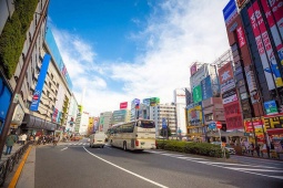 Du lịch - Tới Nhật du lịch vào dịp năm mới, bạn đừng bỏ lỡ 7 địa điểm này ở Tokyo