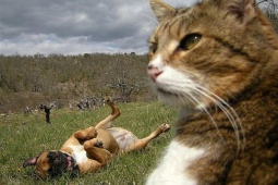 Những kẻ phá đám đáng ghét