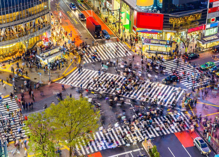 Tới Nhật du lịch vào dịp năm mới, bạn đừng bỏ lỡ 7 địa điểm này ở Tokyo - 6