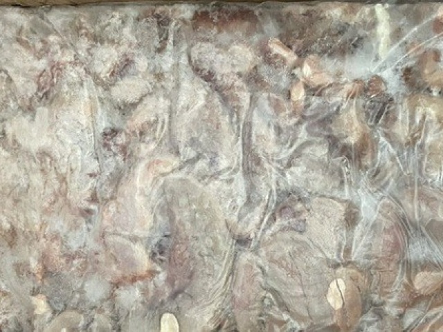 Thị trường - Tiêu dùng - TP HCM: Phát hiện gần 25 tấn nội tạng động vật không hạn sử dụng