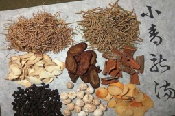 Bài thuốc cổ phương hỗ trợ giảm ho đờm, giúp thông thoáng đường hô hấp