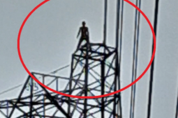 Tin tức trong ngày - Người đàn ông nhiều lần leo cột điện cao thế sau khi nhậu say