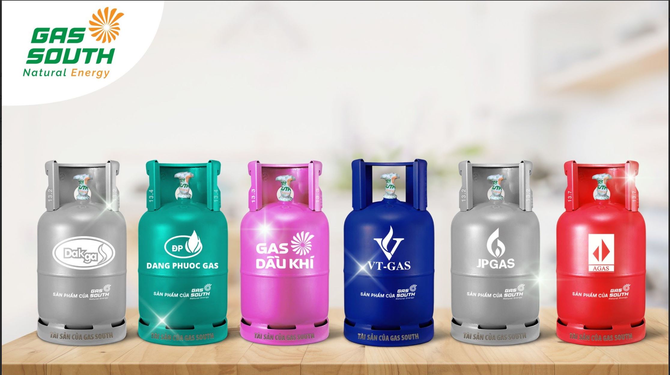 06 nhãn hiệu bình LPG dân dụng của Gas South