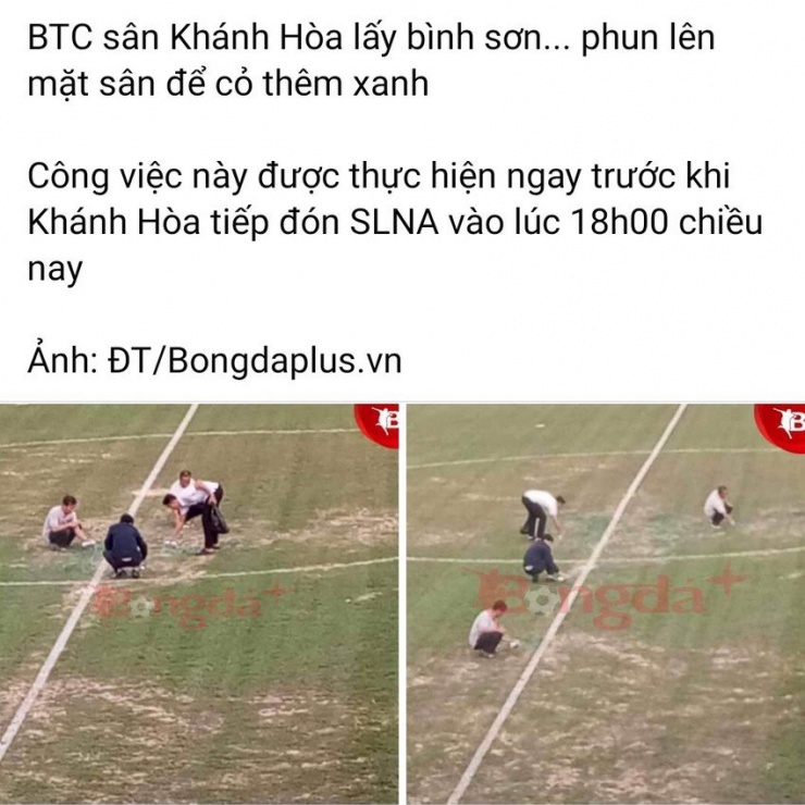 Nhiều tài khoản Facebook chia sẻ hình ảnh xịt sơn mặt sân vận động ở Nha Trang.