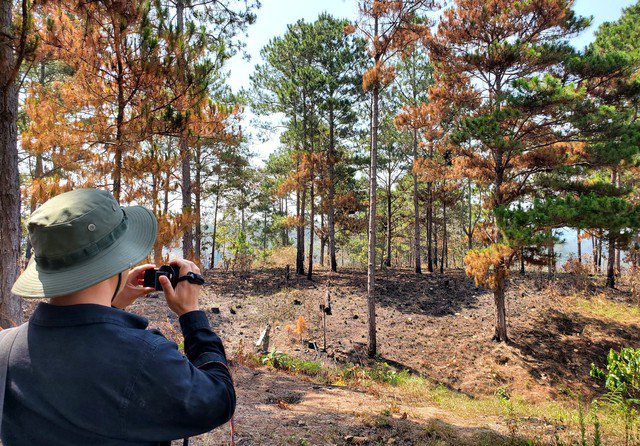Một mảng rừng trong dự án Sài Gòn Đại Ninh bị đốt, phá.