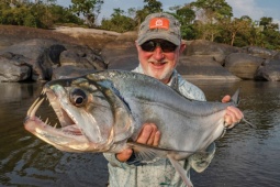 Payara: Cá ma cà rồng cực nguy hiểm, có thể dài hơn 1 mét, nặng gần 20kg