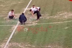 Tin tức trong ngày - Khánh Hòa thông tin việc xịt sơn xanh lên cỏ sân vận động 19-8