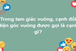 Giáo dục - du học - Nắm trong tay kiến thức cổ kim mới trả lời được hết toàn bộ câu hỏi này