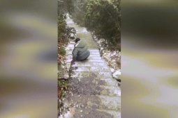 Phi thường - kỳ quặc - Video: Người đàn ông gặp tai nạn "đau đớn" khi đi trên cầu thang phủ đầy băng giá