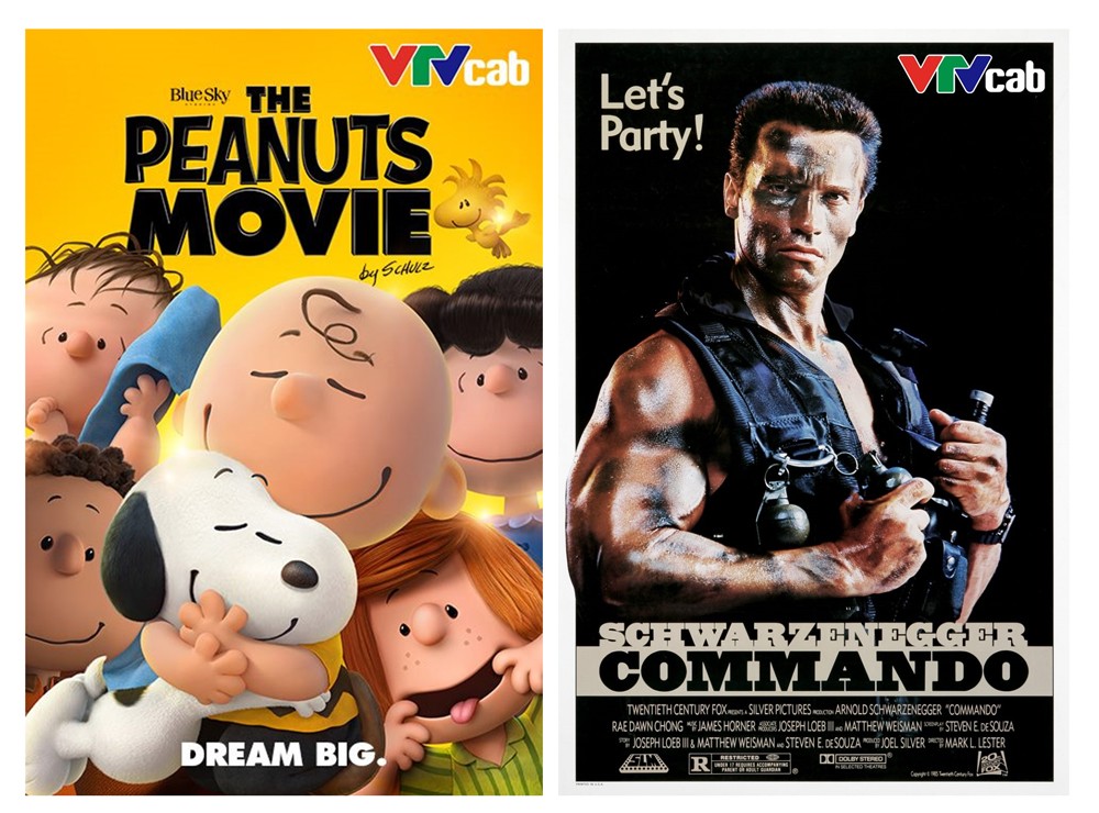 Đón xem loạt phim điện ảnh hấp dẫn trên VTVcab dịp Tết dương lịch - 3