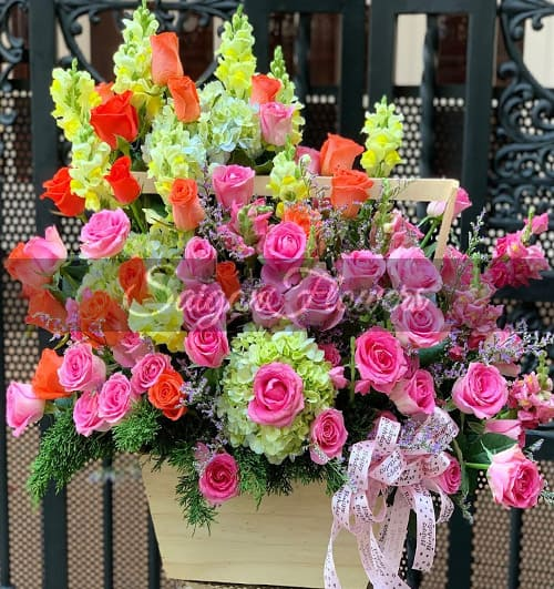 Hoa sở hữu mẫu mã đa dạng