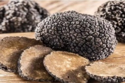 Thị trường - Tiêu dùng - Sự thật chưa biết về loại nấm thần dược phòng the 7 tỷ đồng/cây