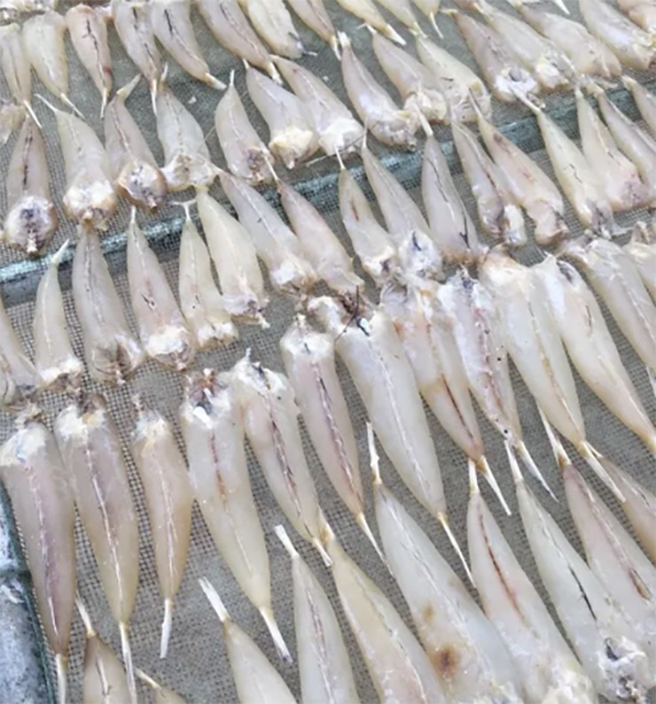 Ngoài ra còn có món khô cá chai và cá chai một nắng, có giá lên tới 300.000 đồng/kg.

