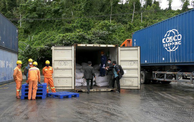 Tiêu hủy gần 10 tấn gồm ngà voi, sừng tê giác… trị giá 300 tỉ đồng ở Quảng Nam - 1