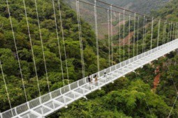 Cầu ở Việt Nam nắm giữ kỷ lục thế giới, xây dựng hết hơn 700 tỷ đồng