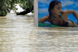 Tranh vui - Những hình ảnh "đúng nơi đúng thời điểm"