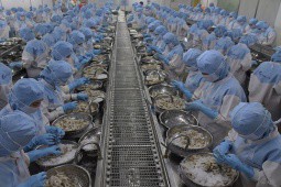 Mặt hàng Việt Nam xuất khẩu lớn thứ hai thế giới đưa về tỷ USD, 100 nước nhập về ăn