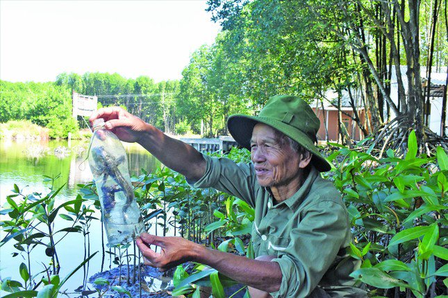 Cá thòi lòi dính bẫy