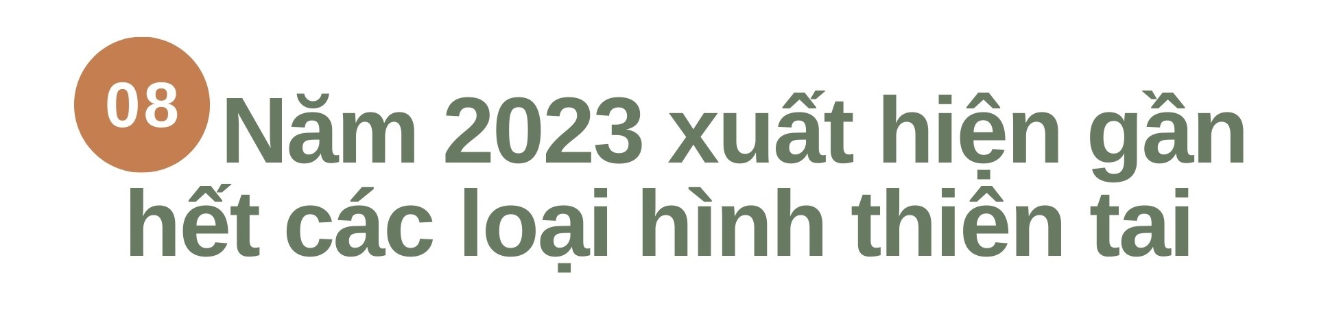 2023 – MỘT NĂM NHÌN LẠI - 40