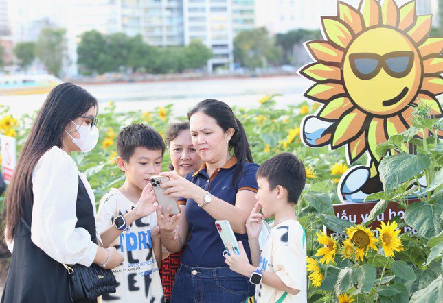 Cánh đồng hoa hướng dương bên sông Sài Gòn đông nghịt người ngày cuối năm - 5
