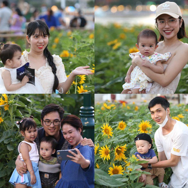 Cánh đồng hoa hướng dương bên sông Sài Gòn đông nghịt người ngày cuối năm - 9