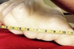 Thị trường - Tiêu dùng - Đem khối đá lạ về đặt dưới gầm giường, 10 năm sau anh chàng sốc với núi tiền "khủng"