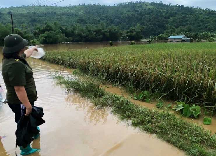 Nhiều diện tích hoa màu tại xã Quang Kim (huyện Bát Xát) bị ngập nước.