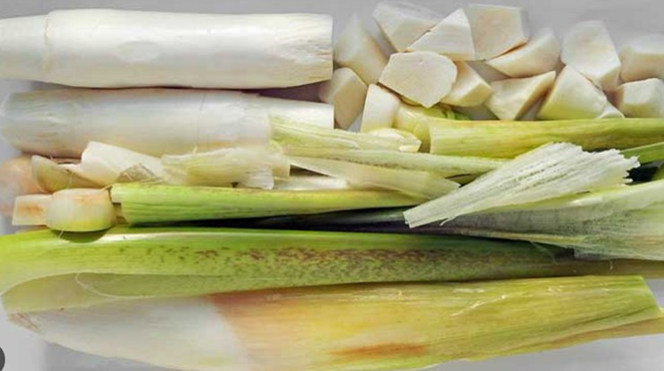 Cây niễng mọc hoang dại ở khu vực đầm nước, ven ao hồ
