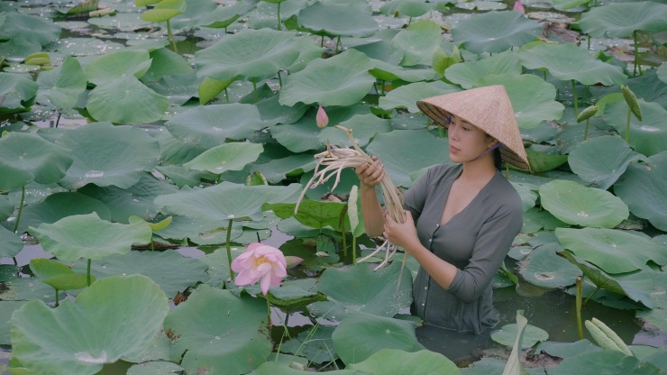 Cô gái trẻ không ngại băng rừng, lội bùn để tìm kiếm nguyên liệu