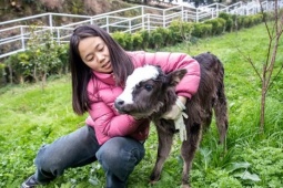 Kinh doanh - Giới trẻ Trung Quốc đồng loạt "nghỉ hưu" về nông thôn khi tình trạng thất nghiệp trầm trọng