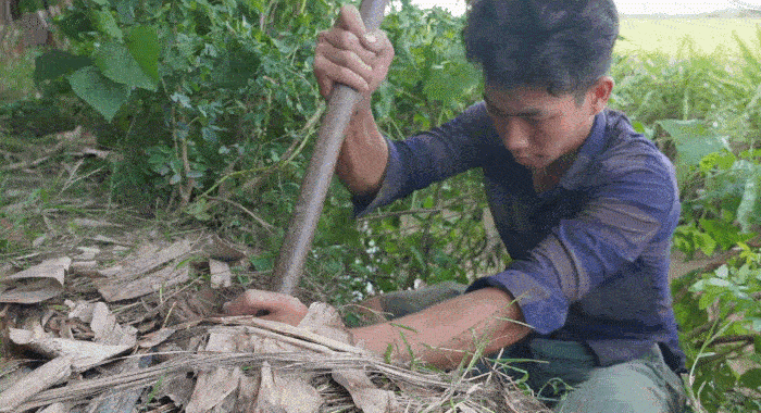 Món ăn nổi tiếng miền Tây, khách mới nghe tên thấy sợ, thử rồi lại mê - 1