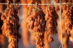 Ẩm thực - Có nên rửa nho khô trước khi ăn?