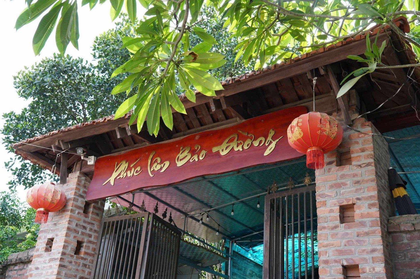 Phúc Lâm Bảo Đường - Địa chỉ tin cậy điều trị bệnh xương khớp uy tín tại Ba Vì, Hà Nội - 2