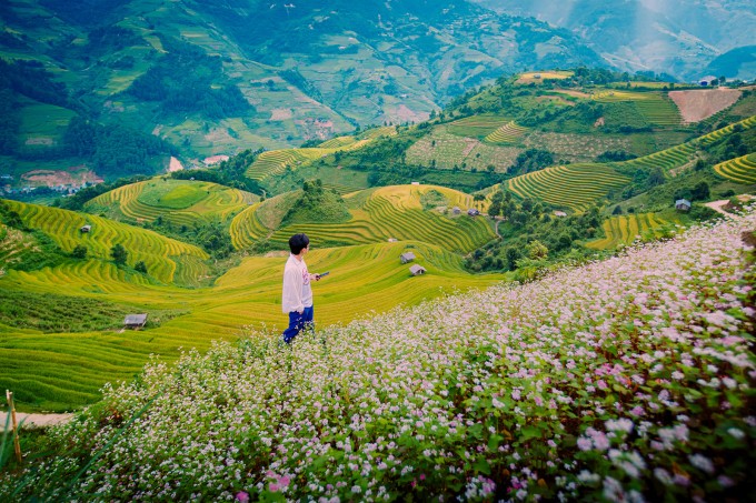 Ruộng bậc thang Kim Nội. Ảnh: Giàng A Chay