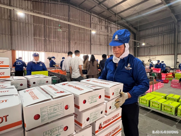 Sản phẩm của công ty được tiêu thụ trong nước và xuất khẩu. Ảnh: báo Hải Dương