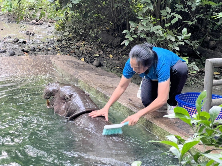 Đằng sau vẻ ngoài hoang dã: Công việc thầm lặng của những người chăm sóc thú tại Thảo cầm viên Sài Gòn