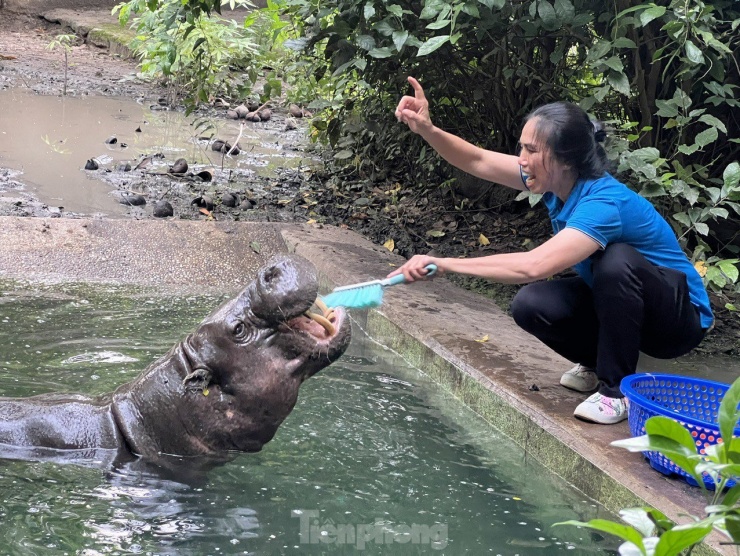 Đằng sau vẻ ngoài hoang dã: Công việc thầm lặng của những người chăm sóc thú tại Thảo cầm viên Sài Gòn