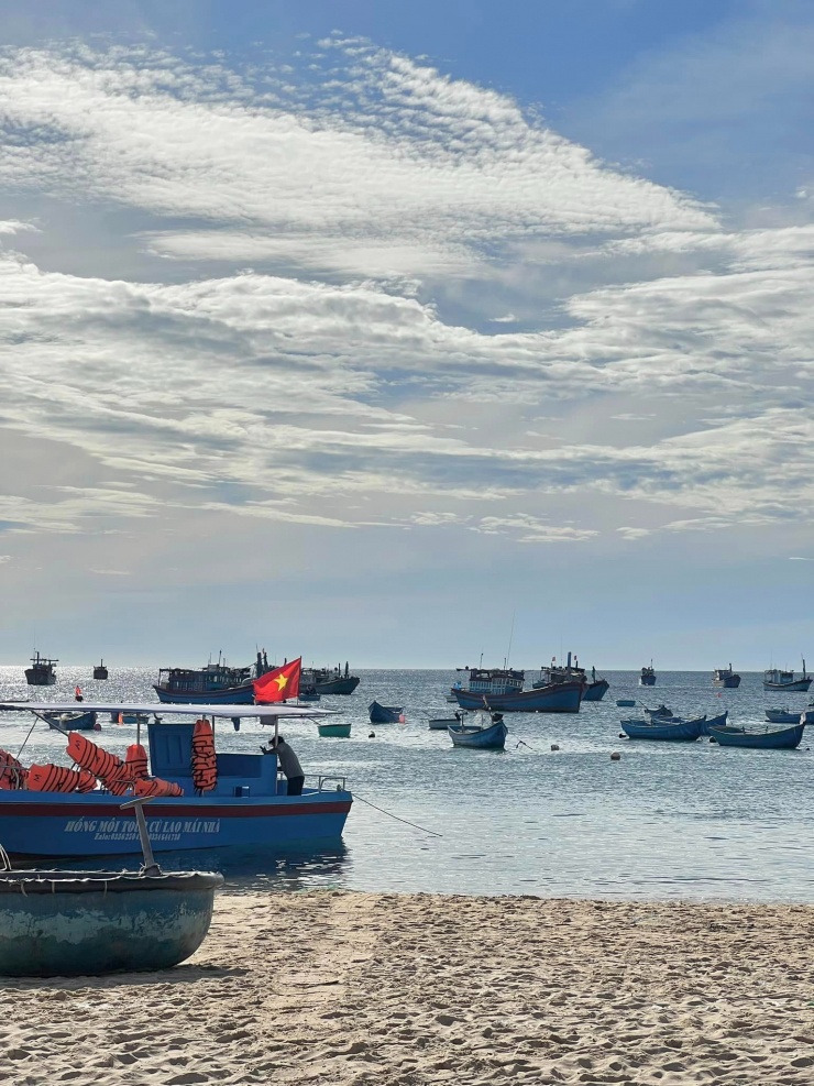 Nhịp sống ở nơi biển cả.