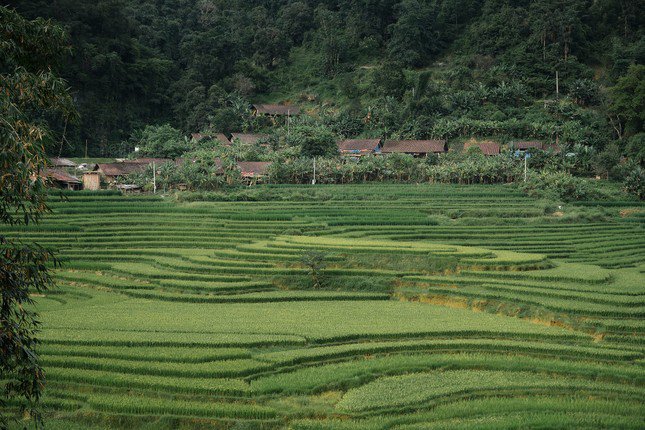 Xóm nhỏ ở Cao Bằng ẩn mình giữa lưng chừng núi, cảnh đẹp như tranh - 6