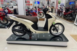 Thế giới xe - Giá Honda Vision đầu tháng 10/2024, tăng nhẹ 200 nghìn đồng