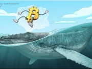 Công nghệ thông tin - Ví cá voi Bitcoin 'thời đại Satoshi' thức giấc