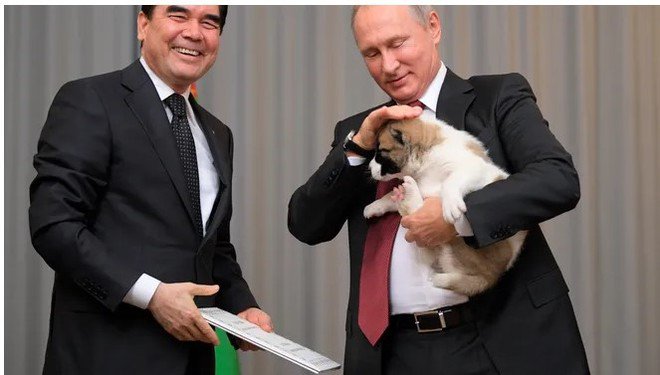 Tổng thống Nga Vladimir Putin làm gì trong ngày sinh nhật? - 2