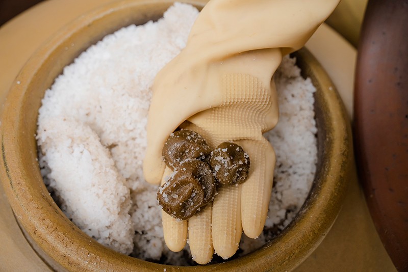 Thu hoạch Chanh Sành được ủ muối trong 2 năm